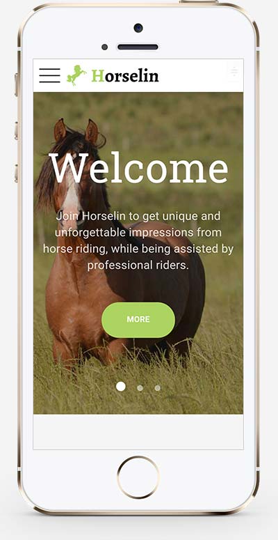 B0632-(自适应手机端)养马场畜牧业英文网站pbootcms模板 马匹饲养养殖场网站模板
